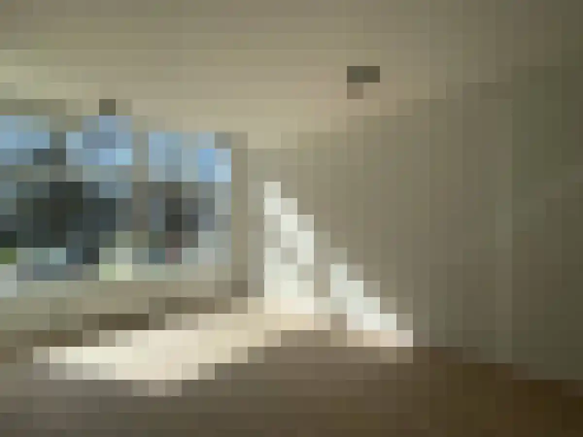 Boezemsingel 54 Rotterdam thumbnail 4
