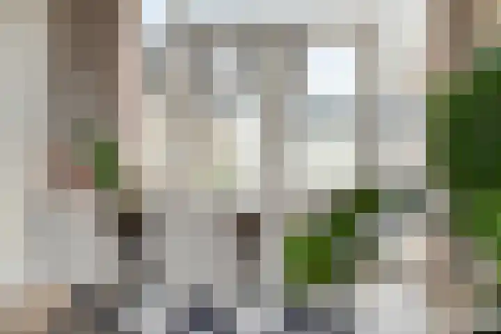 Boezemsingel 6 Oud-Beijerland thumbnail 12
