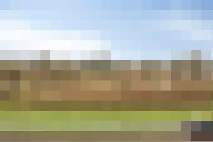 Boezemsingel 6 Oud-Beijerland thumbnail 31