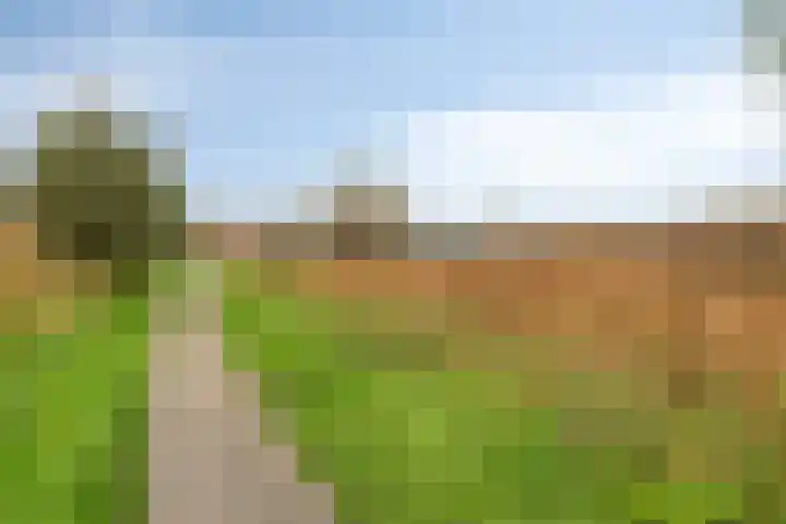 Boezemsingel 6 Oud-Beijerland thumbnail 33