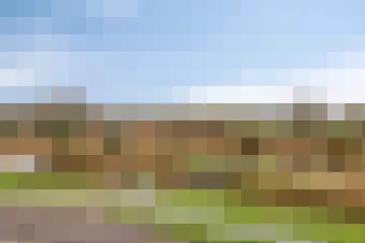 Boezemsingel 6 Oud-Beijerland thumbnail 4