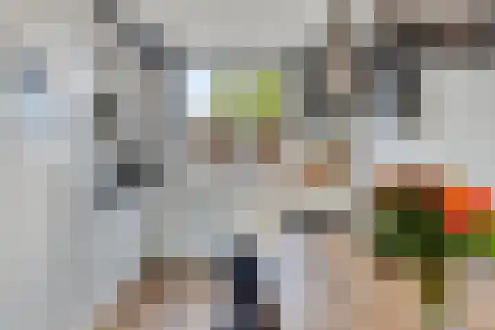Boezemsingel 9 Gouderak thumbnail 11