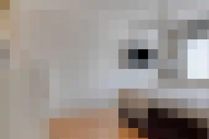 Boezemsingel 9 Gouderak thumbnail 15