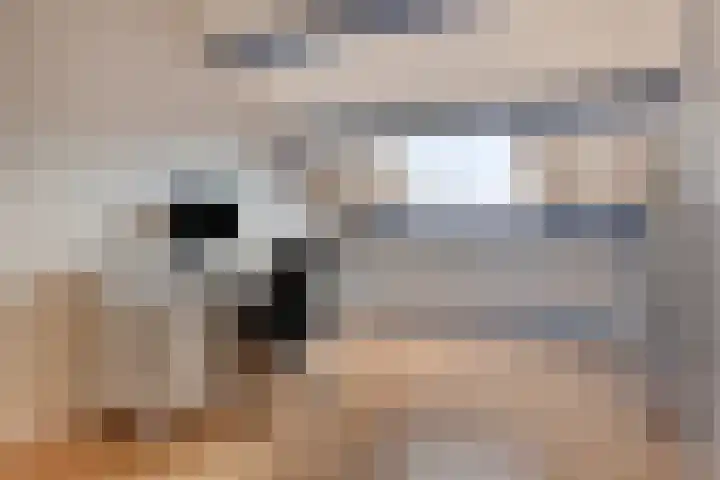 Boezemsingel 9 Gouderak thumbnail 25