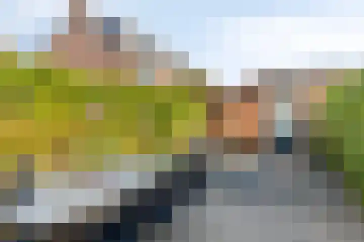 Boezemsingel 9 Gouderak thumbnail 28