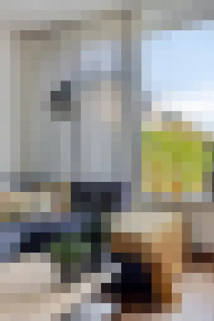 Boezemsingel 9 Gouderak thumbnail 7