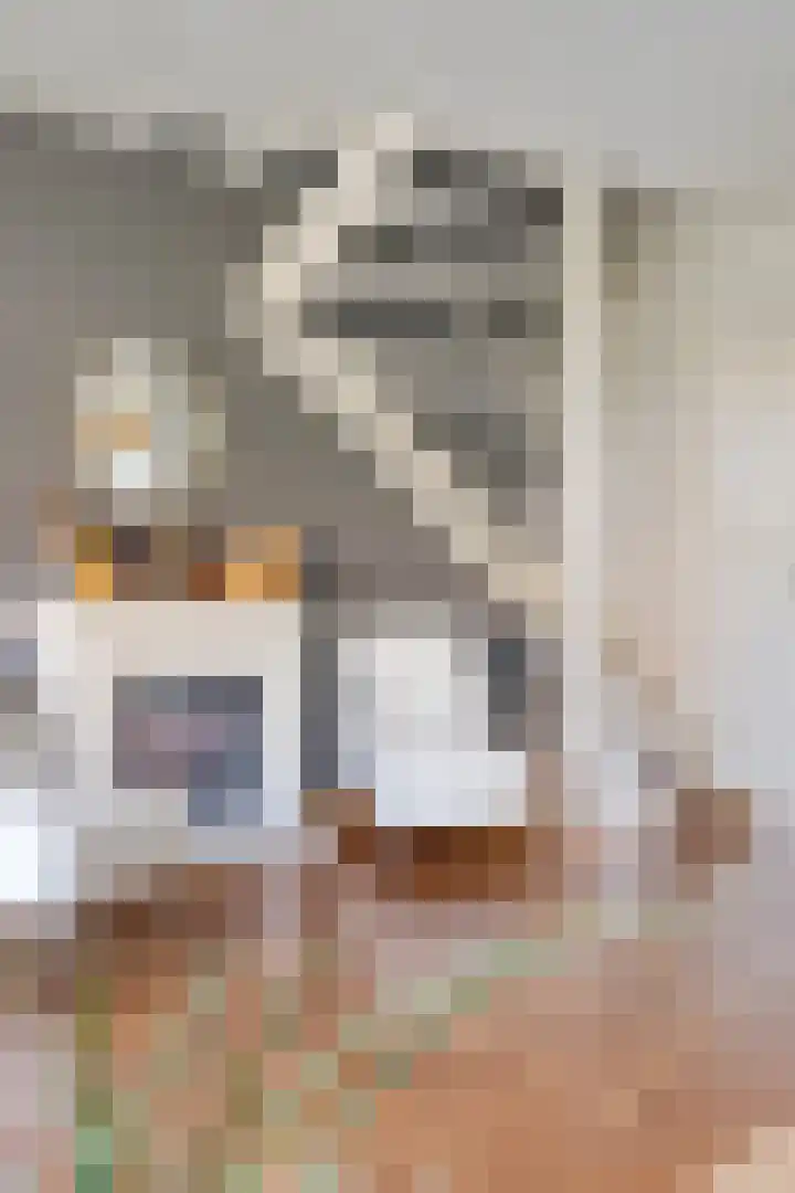 Boezemsingel 9 Gouderak thumbnail 8