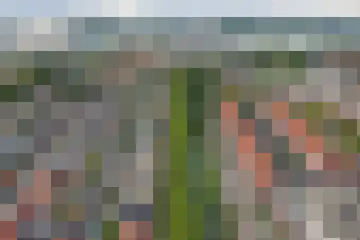 Boezemstraat 26 Ridderkerk thumbnail 30
