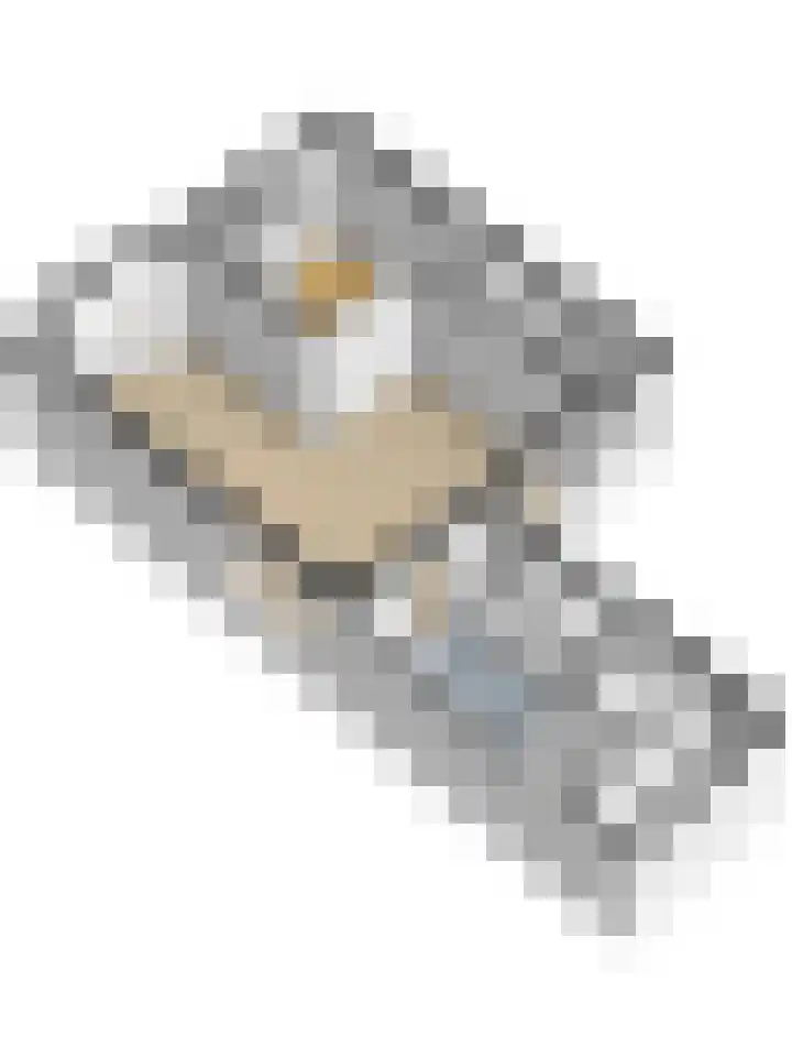 Boezemstraat 26 Ridderkerk thumbnail 32