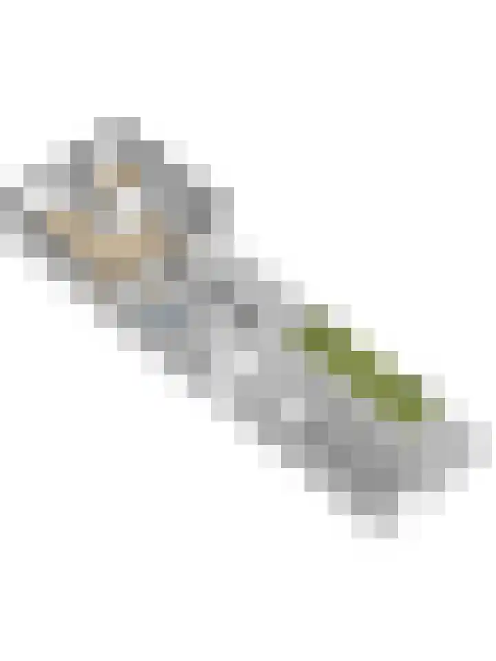 Boezemstraat 26 Ridderkerk thumbnail 34