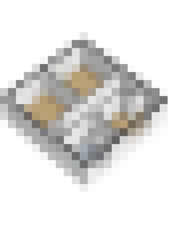 Boezemstraat 26 Ridderkerk thumbnail 36
