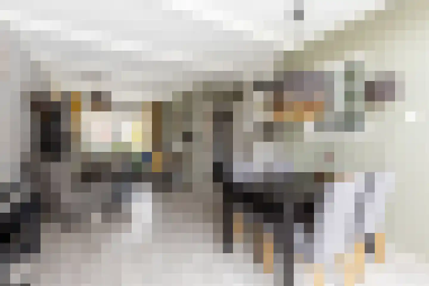 Boezemstraat 36 Ridderkerk thumbnail 13