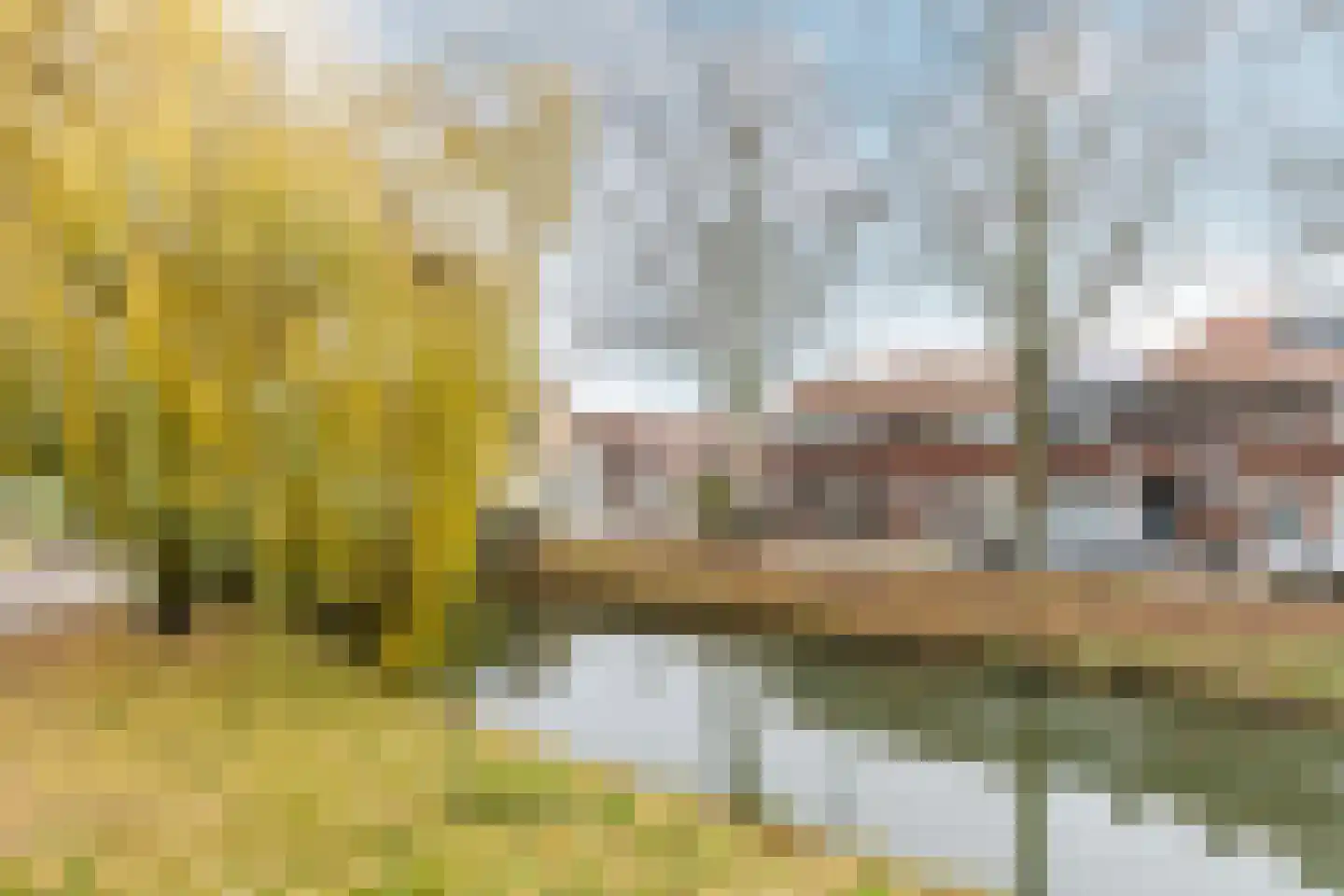 Boezemstraat 36 Ridderkerk thumbnail 5
