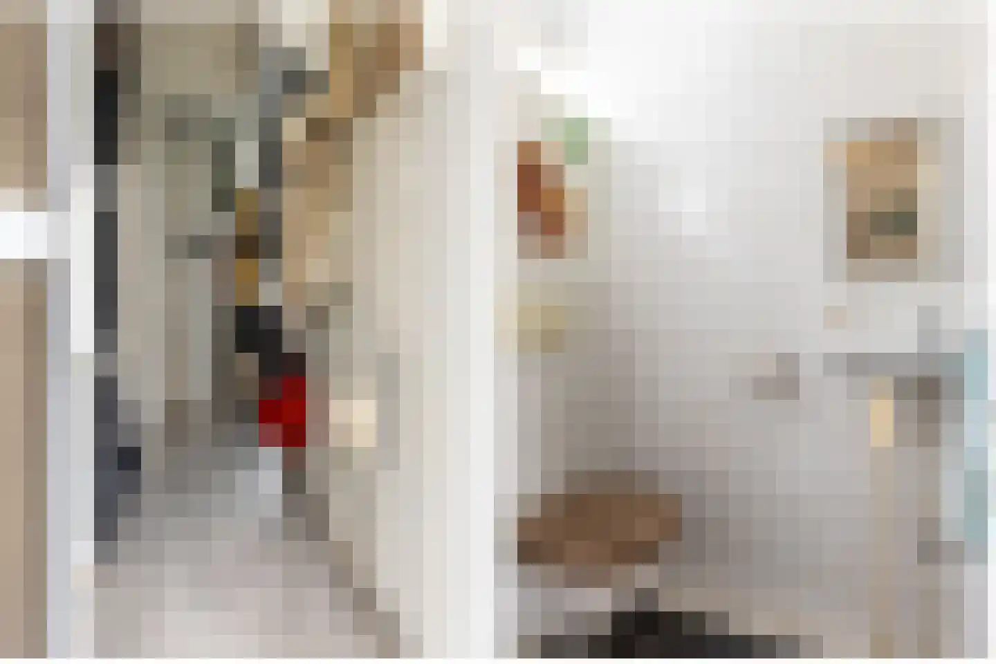 Boezemstraat 36 Ridderkerk thumbnail 7