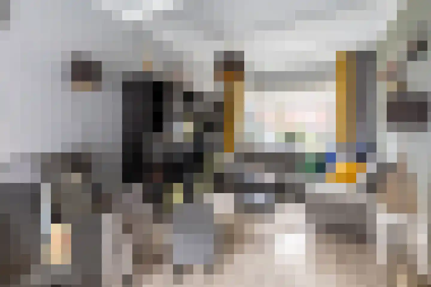Boezemstraat 36 Ridderkerk thumbnail 8