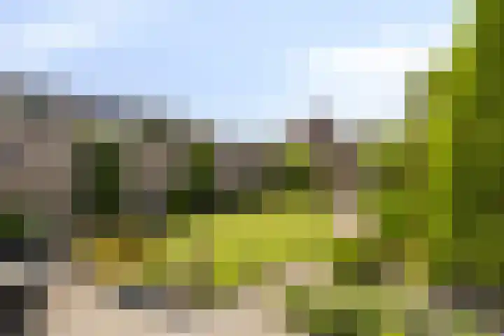 Boezemvliet 31 Maasdam thumbnail 11