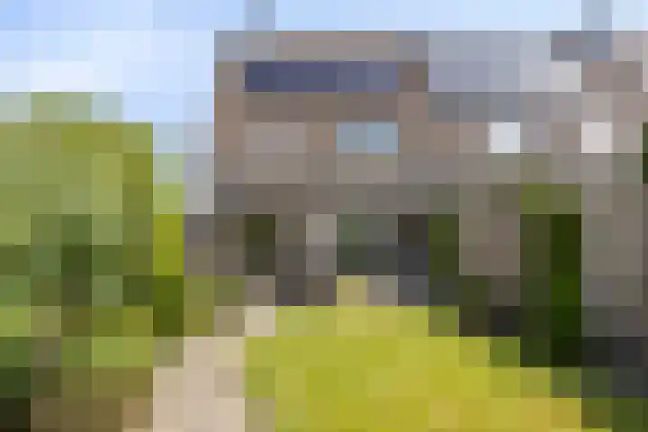 Boezemvliet 31 Maasdam thumbnail 12