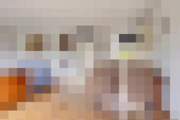 Boezemvliet 31 Maasdam thumbnail 13