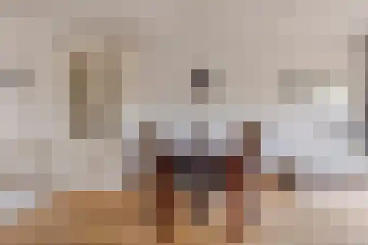 Boezemvliet 31 Maasdam thumbnail 14