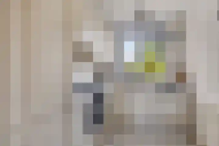 Boezemvliet 31 Maasdam thumbnail 15