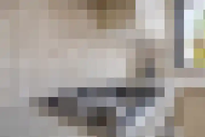 Boezemvliet 31 Maasdam thumbnail 16