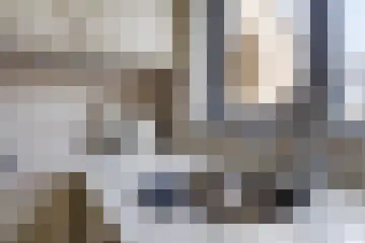 Boezemvliet 31 Maasdam thumbnail 17
