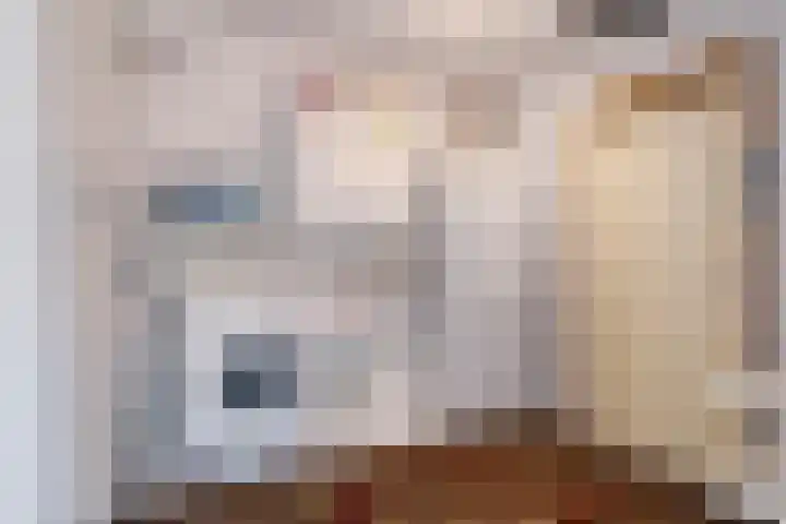 Boezemvliet 31 Maasdam thumbnail 18