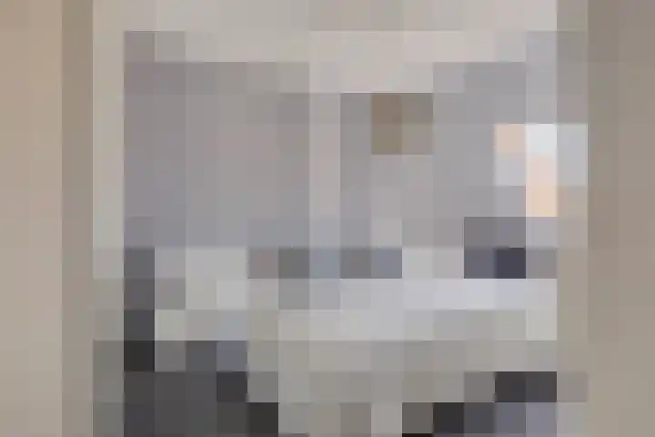 Boezemvliet 31 Maasdam thumbnail 19