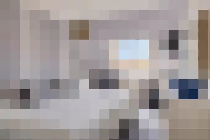 Boezemvliet 31 Maasdam thumbnail 20