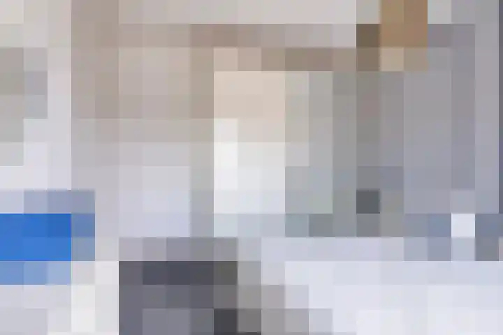 Boezemvliet 31 Maasdam thumbnail 21