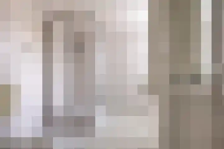 Boezemvliet 31 Maasdam thumbnail 22