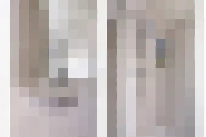 Boezemvliet 31 Maasdam thumbnail 23