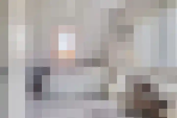 Boezemvliet 31 Maasdam thumbnail 24