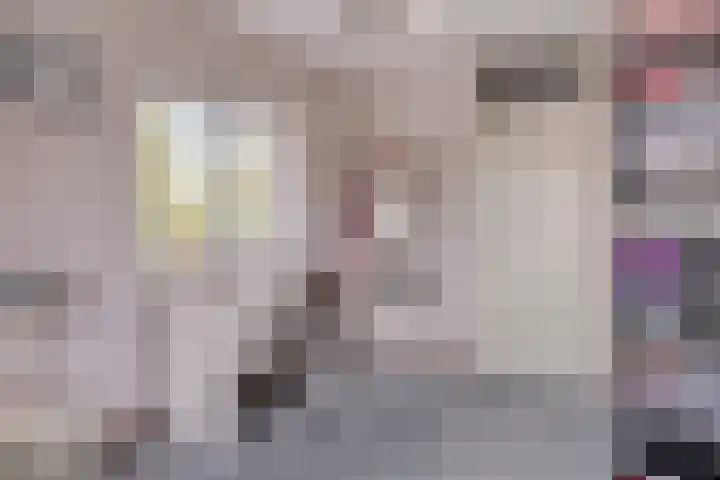 Boezemvliet 31 Maasdam thumbnail 25