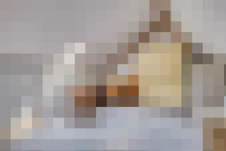 Boezemvliet 31 Maasdam thumbnail 28