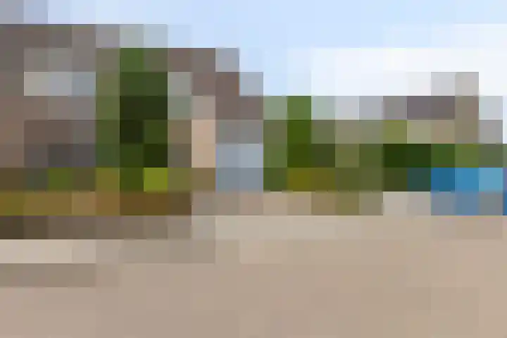 Boezemvliet 31 Maasdam thumbnail 30