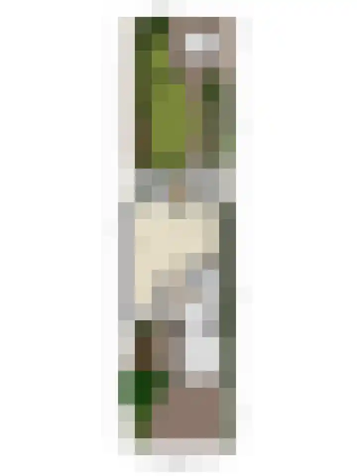 Boezemvliet 31 Maasdam thumbnail 33