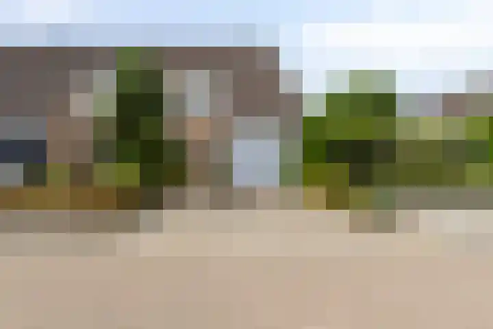 Boezemvliet 31 Maasdam thumbnail 4
