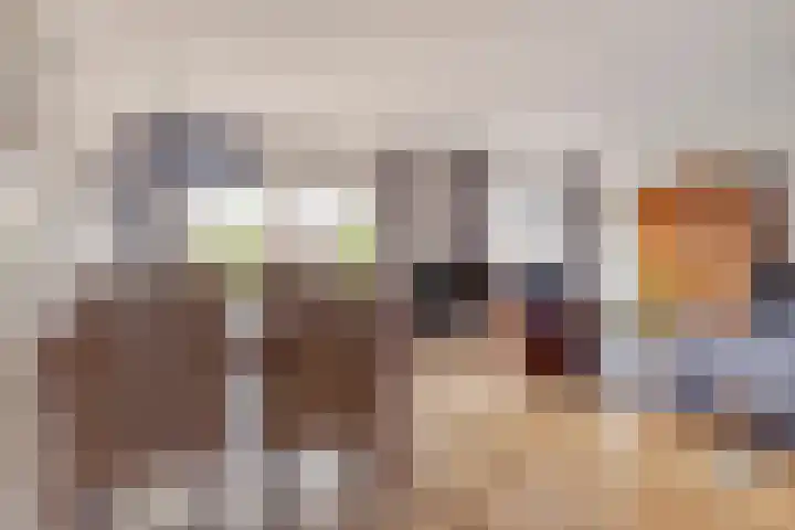 Boezemvliet 31 Maasdam thumbnail 6