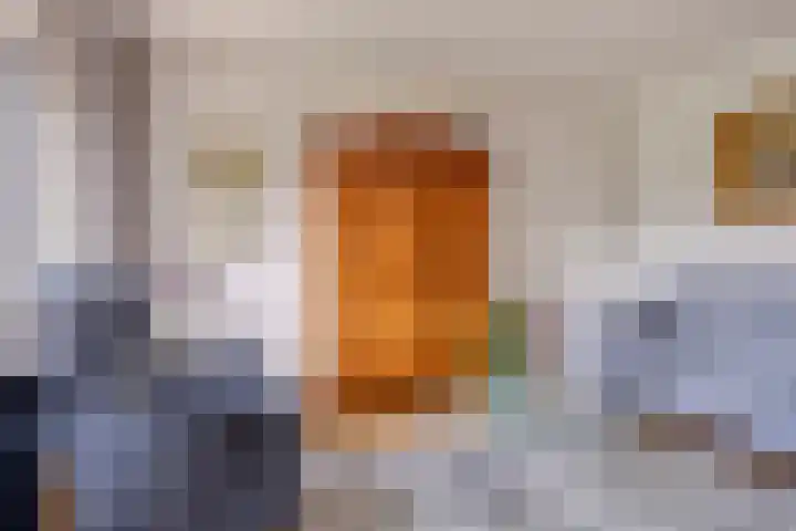 Boezemvliet 31 Maasdam thumbnail 8