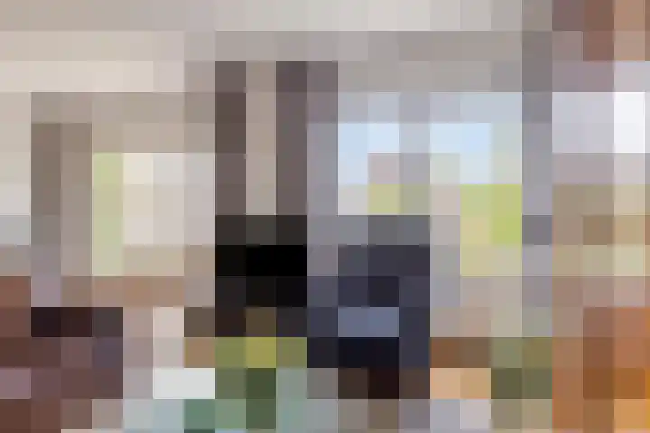Boezemvliet 31 Maasdam thumbnail 9