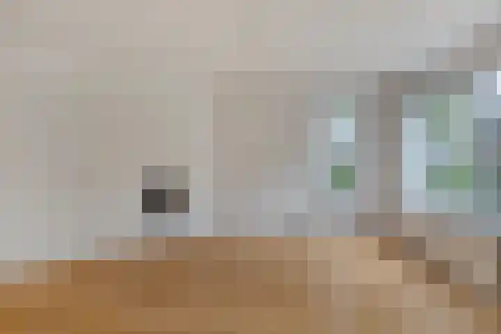 Boezemvliet 7 Maasdam thumbnail 10