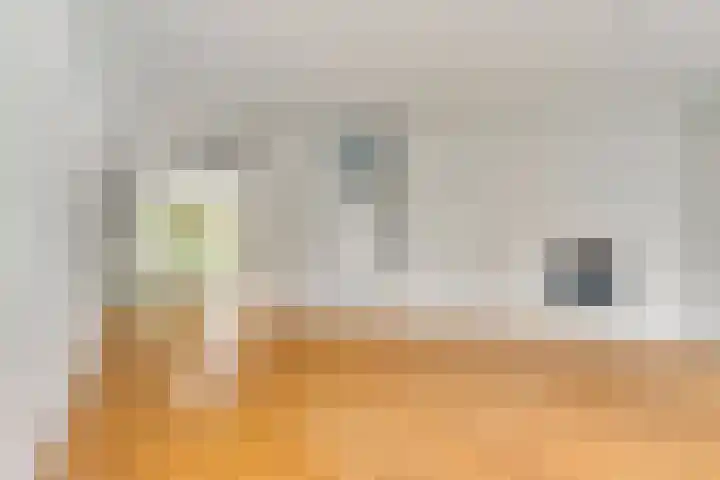 Boezemvliet 7 Maasdam thumbnail 11