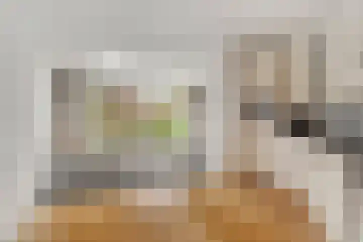 Boezemvliet 7 Maasdam thumbnail 12