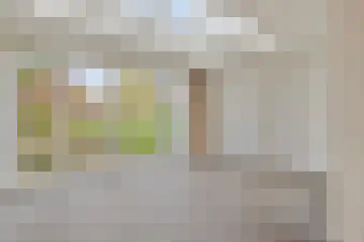 Boezemvliet 7 Maasdam thumbnail 13