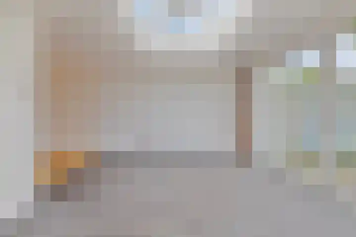 Boezemvliet 7 Maasdam thumbnail 14