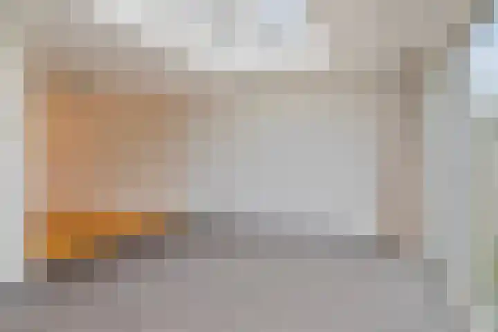 Boezemvliet 7 Maasdam thumbnail 15