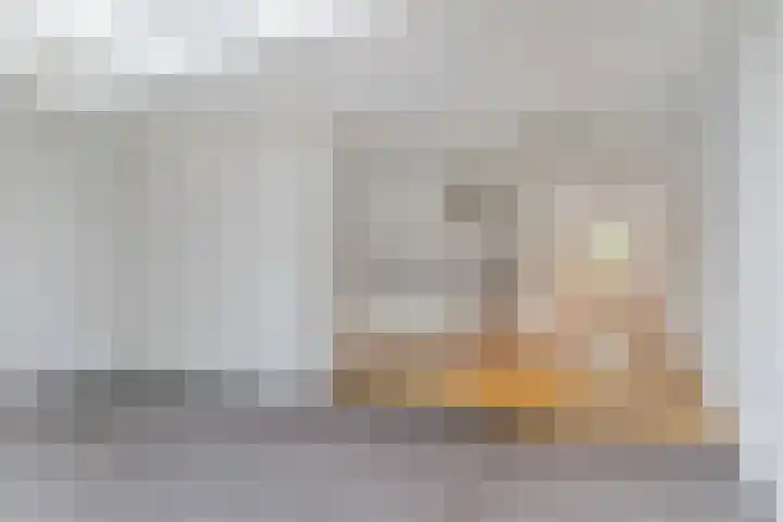 Boezemvliet 7 Maasdam thumbnail 17