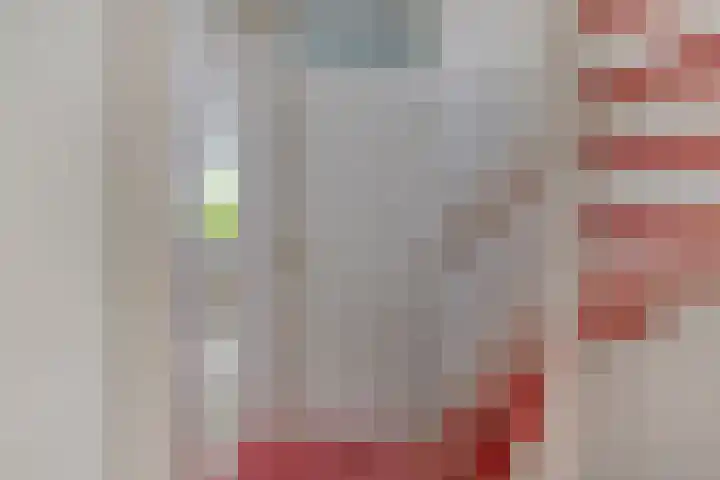 Boezemvliet 7 Maasdam thumbnail 19