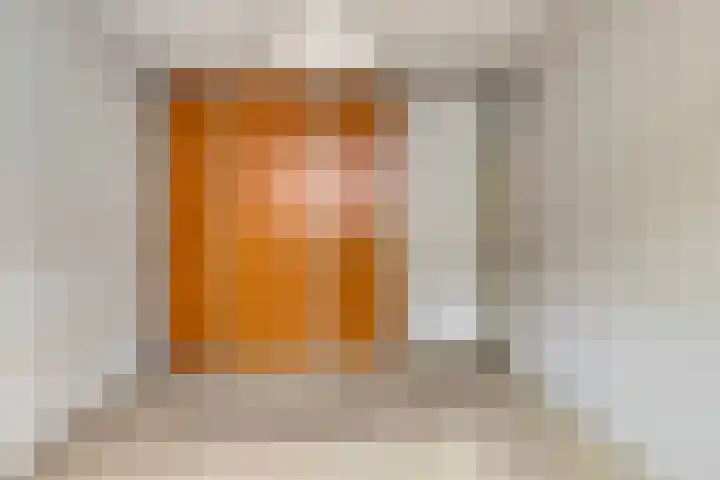 Boezemvliet 7 Maasdam thumbnail 21